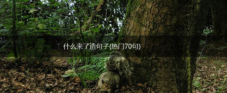 什么来了造句子(热门70句),第1张