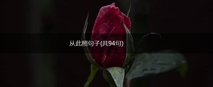 从此照句子(共94句),第1张