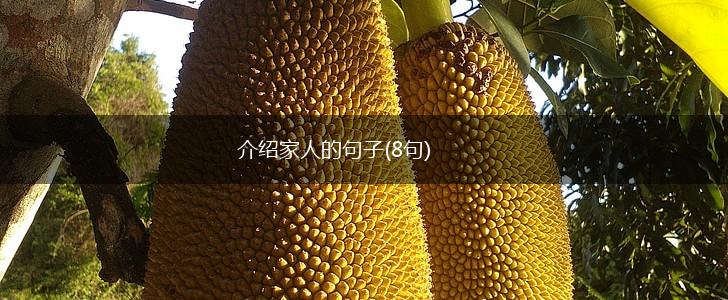 介绍家人的句子(8句),第1张