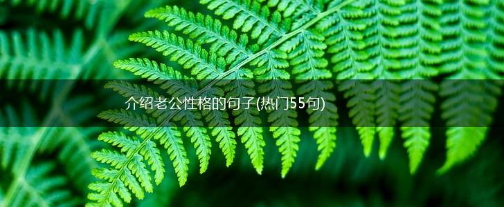 介绍老公性格的句子(热门55句),第1张