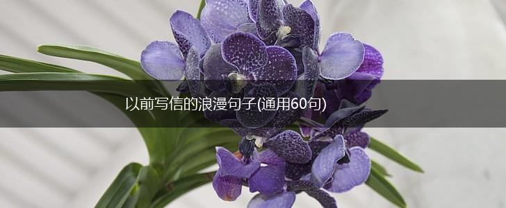 以前写信的浪漫句子(通用60句),第1张