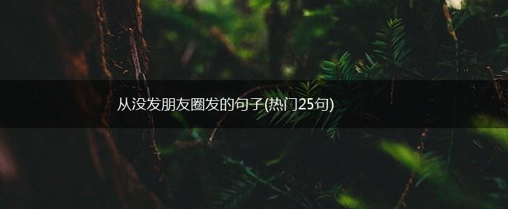从没发朋友圈发的句子(热门25句),第1张