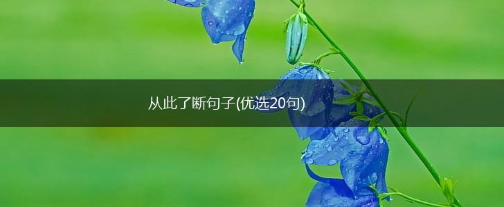 从此了断句子(优选20句),第1张