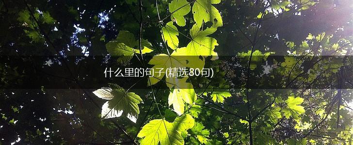 什么里的句子(精选80句),第1张