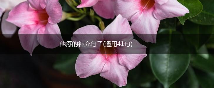 他疼的补充句子(通用41句),第1张