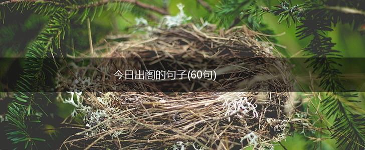 今日出阁的句子(60句),第1张