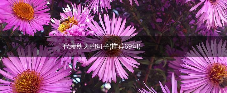 代表秋天的句子(推荐69句),第1张