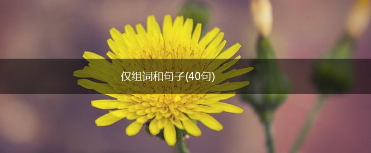 仅组词和句子(40句),第1张