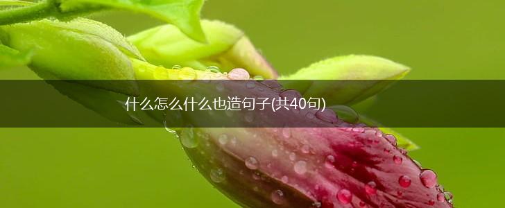 什么怎么什么也造句子(共40句),第1张