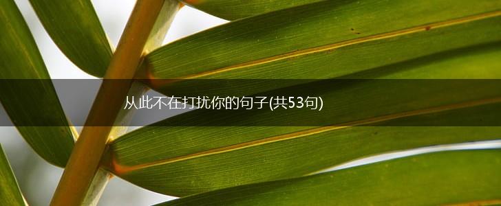 从此不在打扰你的句子(共53句),第1张