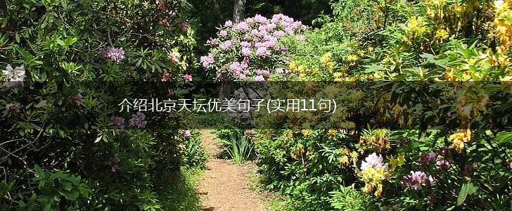 介绍北京天坛优美句子(实用11句),第1张