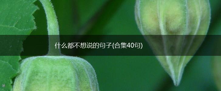 什么都不想说的句子(合集40句),第1张