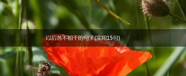 以后各不相干的句子(实用15句),第1张