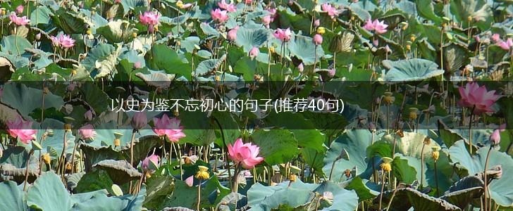 以史为鉴不忘初心的句子(推荐40句),第1张