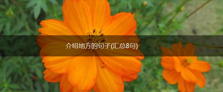 介绍地方的句子(汇总8句),第1张