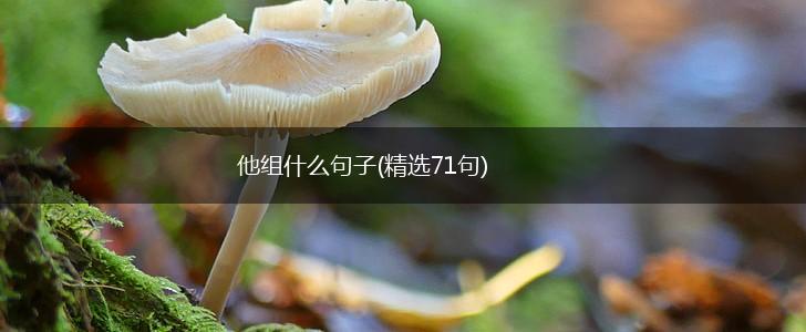 他组什么句子(精选71句),第1张