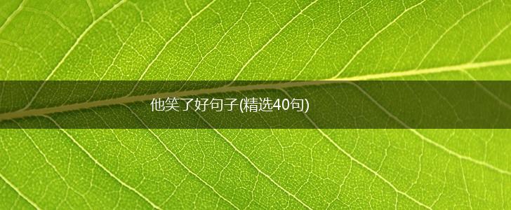他笑了好句子(精选40句),第1张