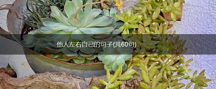 他人左右自己的句子(共60句),第1张