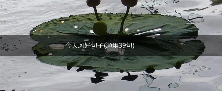 今天风好句子(通用39句),第1张
