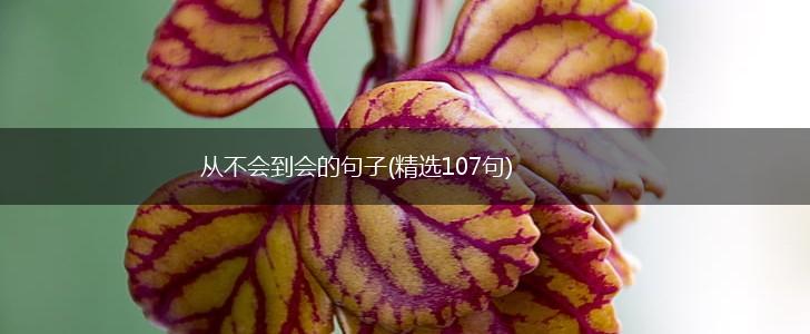 从不会到会的句子(精选107句),第1张