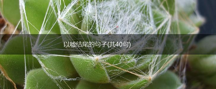 以嘘结尾的句子(共40句),第1张