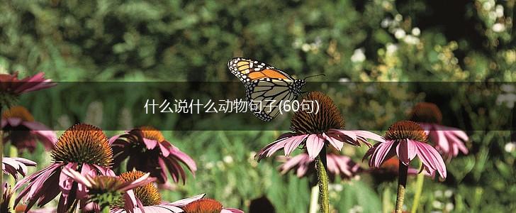 什么说什么动物句子(60句),第1张