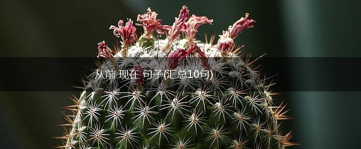 从前 现在 句子(汇总10句),第1张