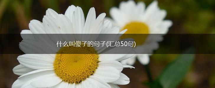 什么叫傻子的句子(汇总50句),第1张