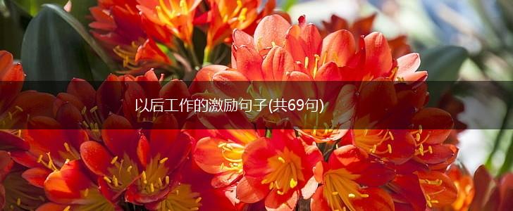 以后工作的激励句子(共69句),第1张