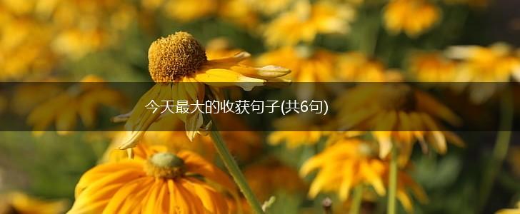 今天最大的收获句子(共6句),第1张