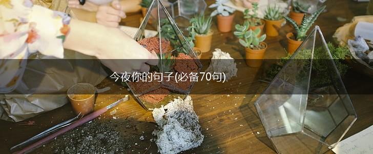 今夜你的句子(必备70句),第1张