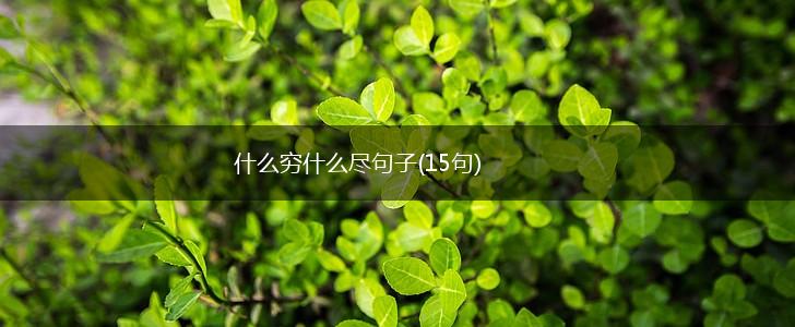 什么穷什么尽句子(15句),第1张