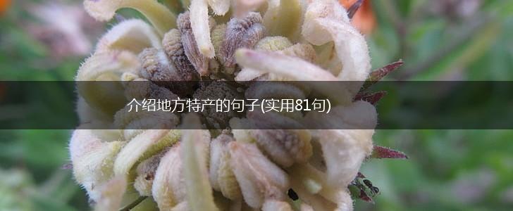 介绍地方特产的句子(实用81句),第1张