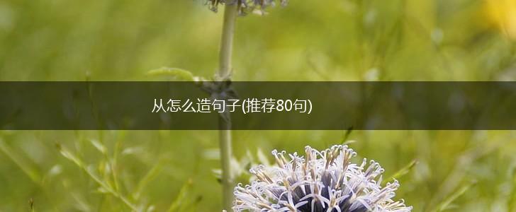 从怎么造句子(推荐80句),第1张