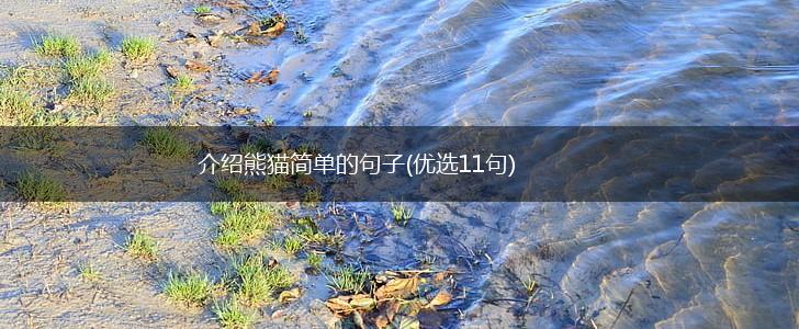 介绍熊猫简单的句子(优选11句),第1张