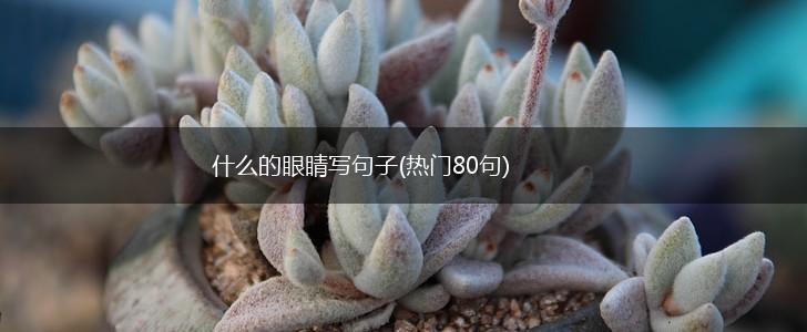什么的眼睛写句子(热门80句),第1张