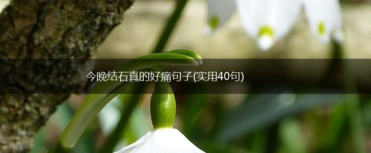 今晚结石真的好痛句子(实用40句),第1张