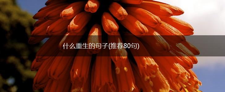 什么重生的句子(推荐80句),第1张