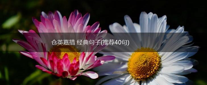 仓英嘉措 经典句子(推荐40句),第1张
