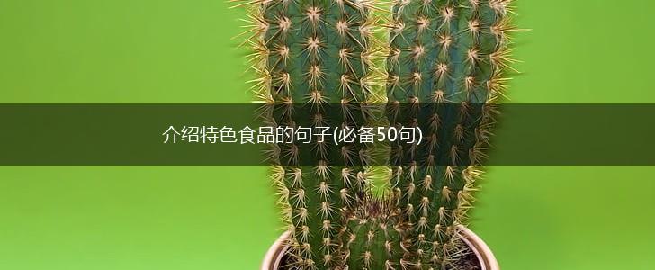 介绍特色食品的句子(必备50句),第1张