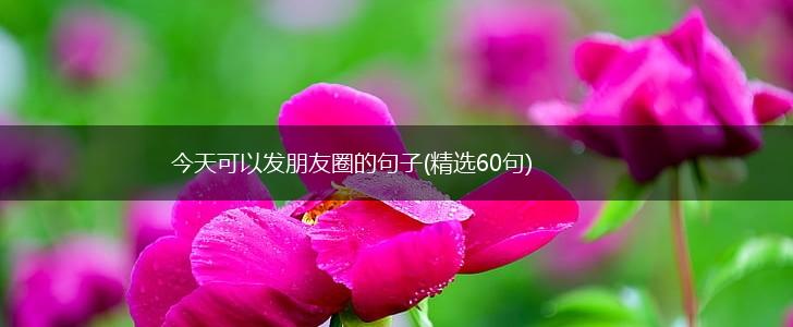 今天可以发朋友圈的句子(精选60句),第1张
