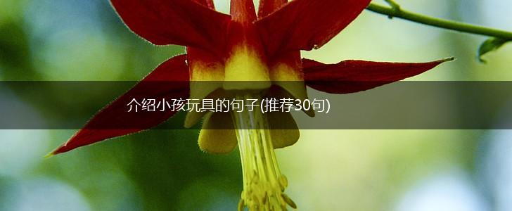 介绍小孩玩具的句子(推荐30句),第1张
