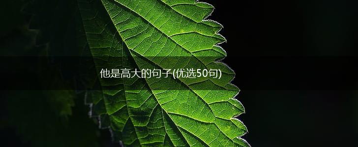 他是高大的句子(优选50句),第1张