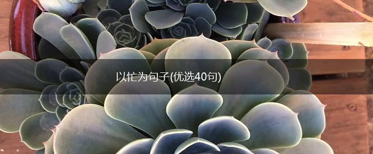 以忙为句子(优选40句),第1张