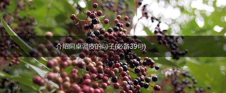介绍同桌调皮的句子(必备39句),第1张