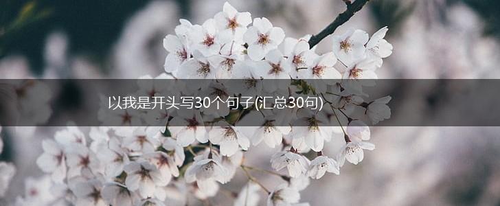 以我是开头写30个句子(汇总30句),第1张