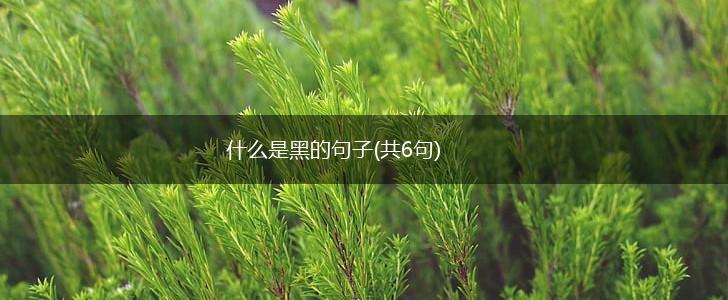 什么是黑的句子(共6句),第1张