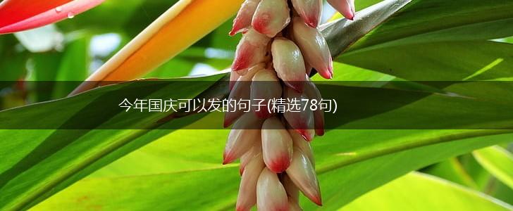 今年国庆可以发的句子(精选78句),第1张
