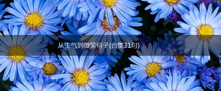 从生气到微笑句子(合集31句),第1张