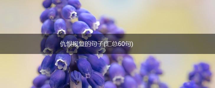 仇恨报复的句子(汇总60句),第1张